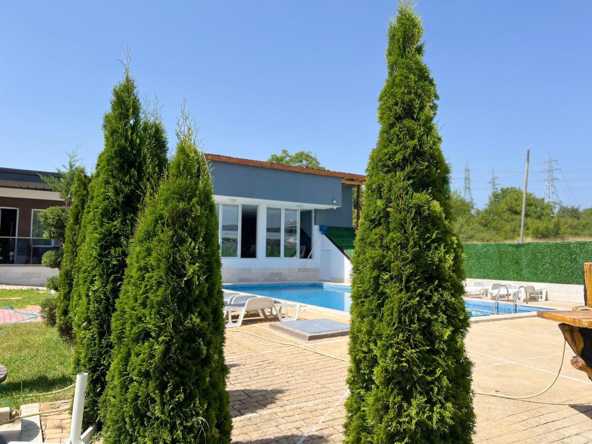 Стаи За Гости Dream Kurdzhali Ngoại thất bức ảnh